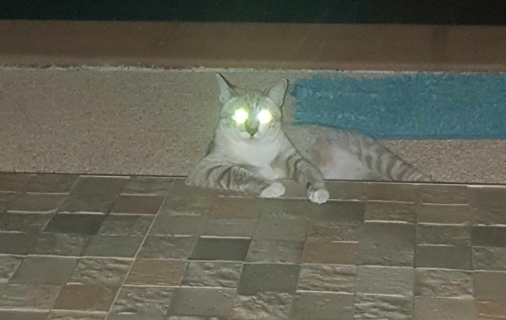 corsita.com – Seite 2 – Wir bauen ein Resort in Thailand